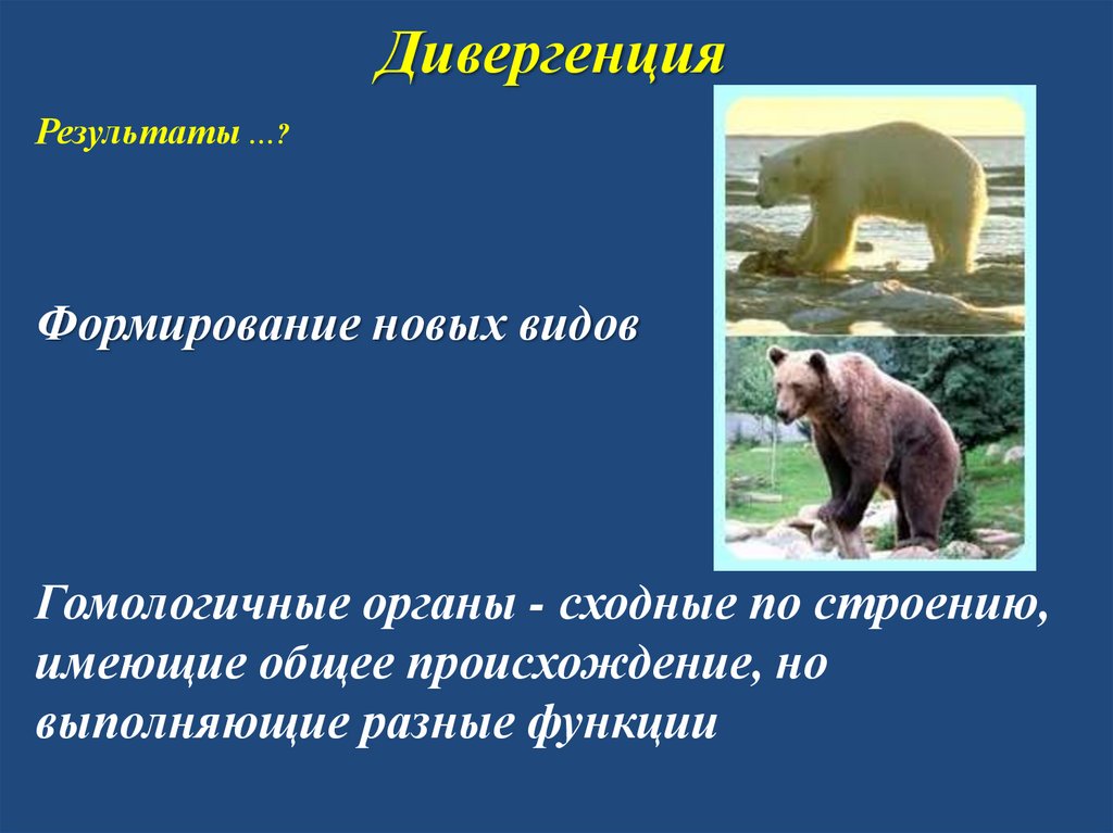 Дивергенция