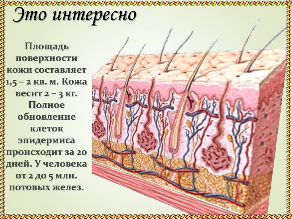 Это интересно