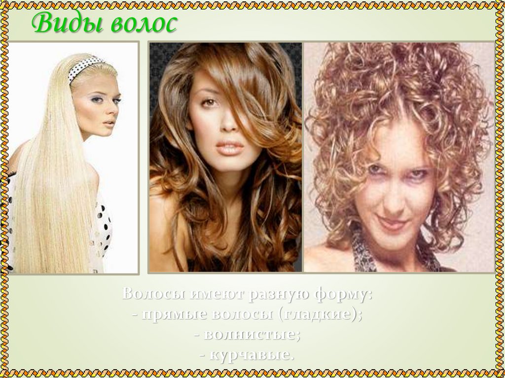 Виды волос