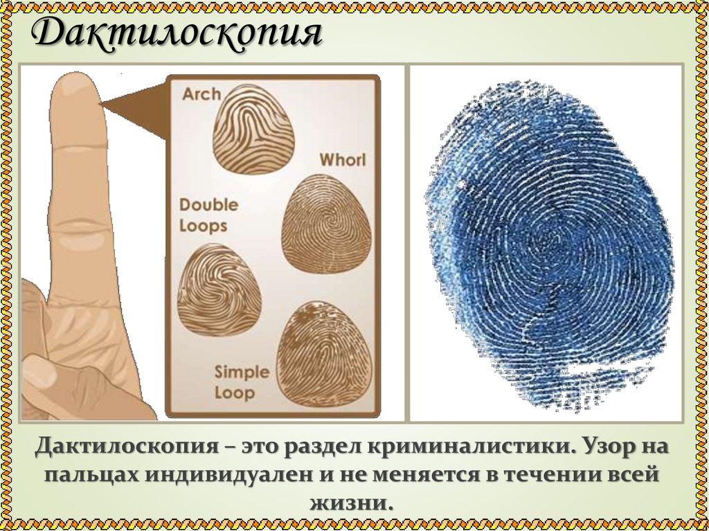 Дактилоскопия