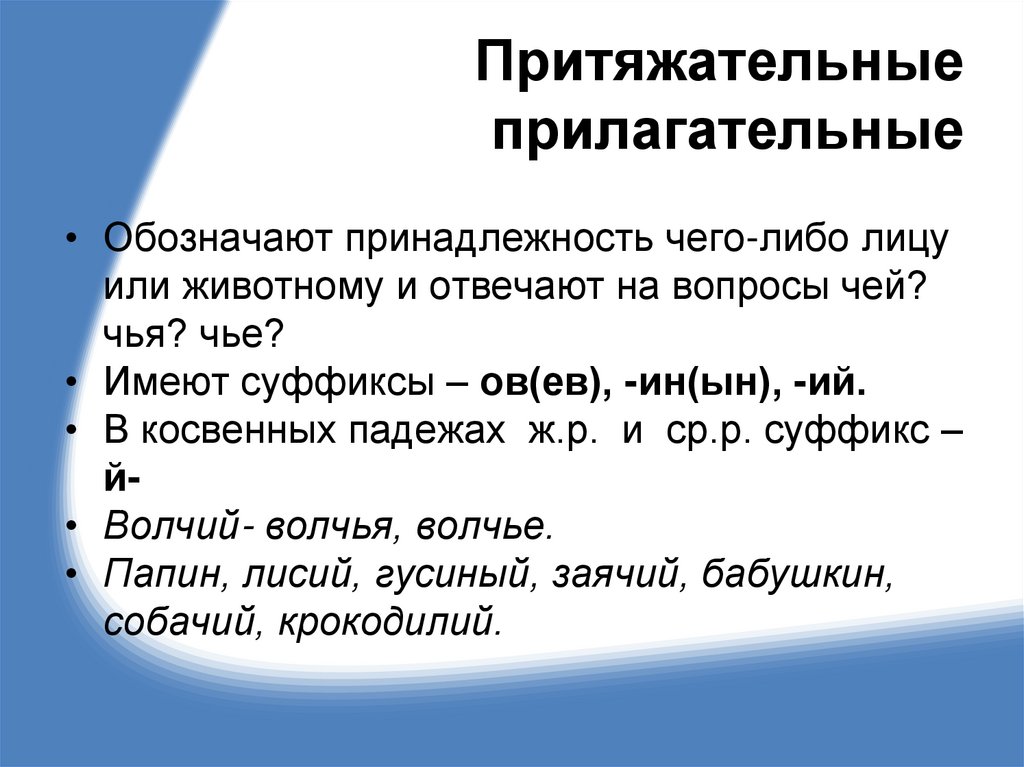 Притяжательные прилагательные