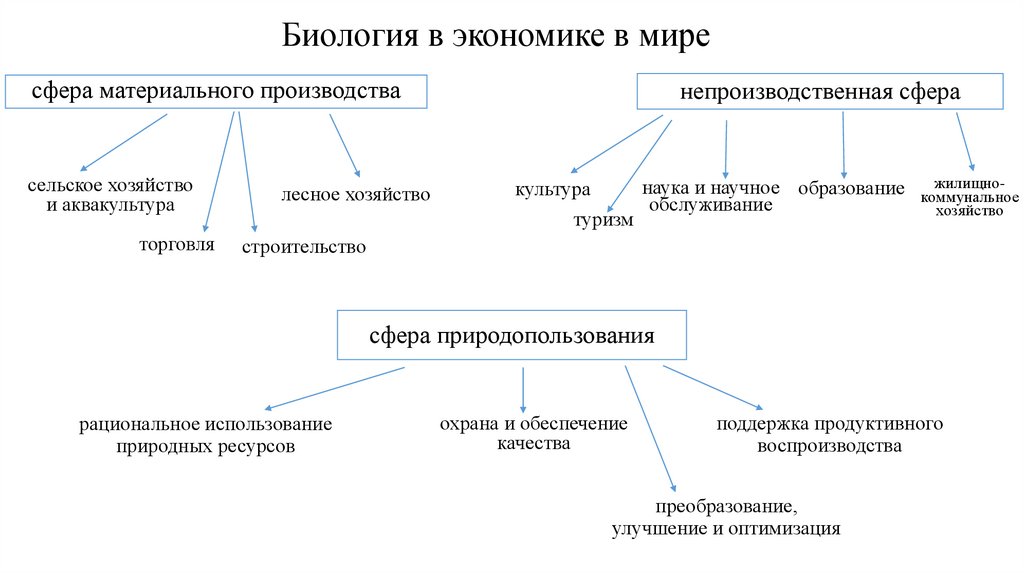 Биология в экономике в мире