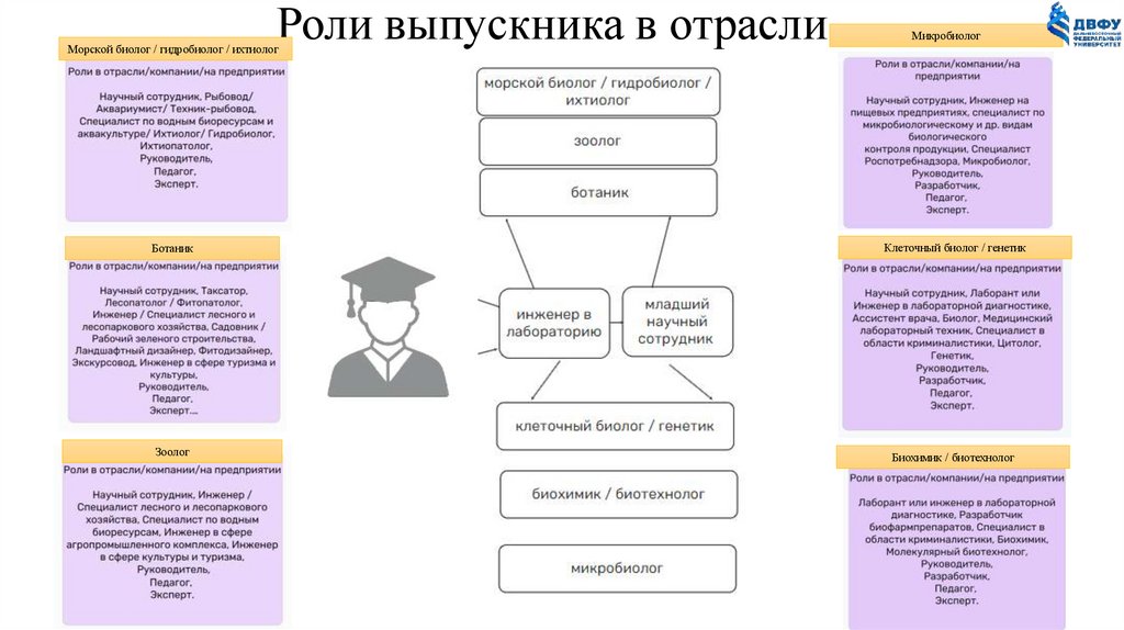 Роли выпускника в отрасли