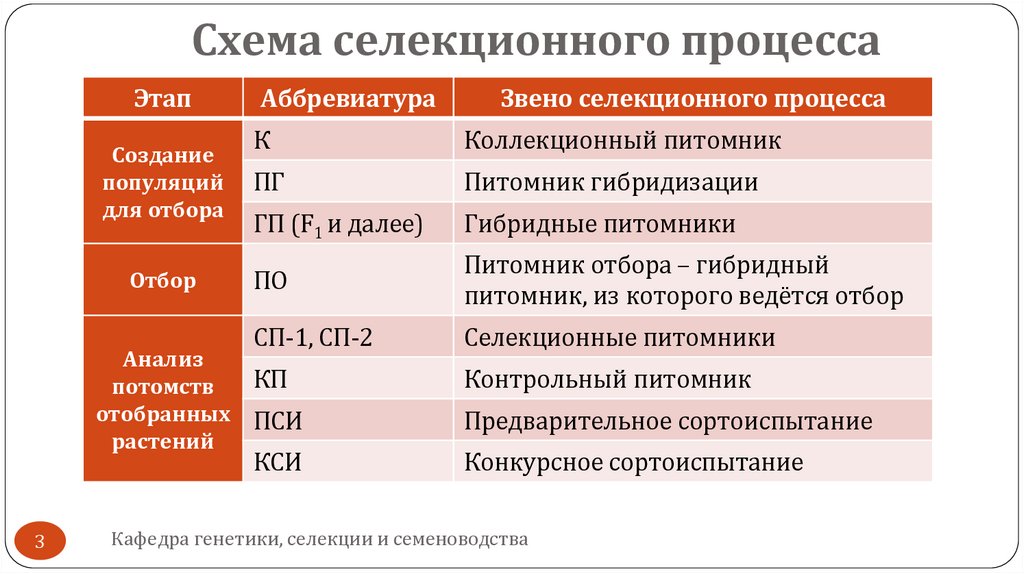 Схема селекционного процесса
