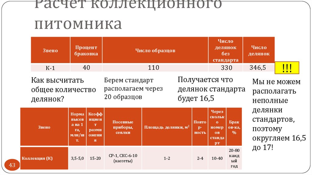 Расчет коллекционного питомника
