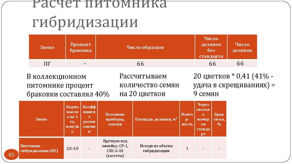 Расчет питомника гибридизации