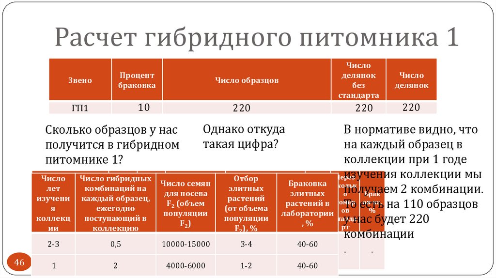 Расчет гибридного питомника 1