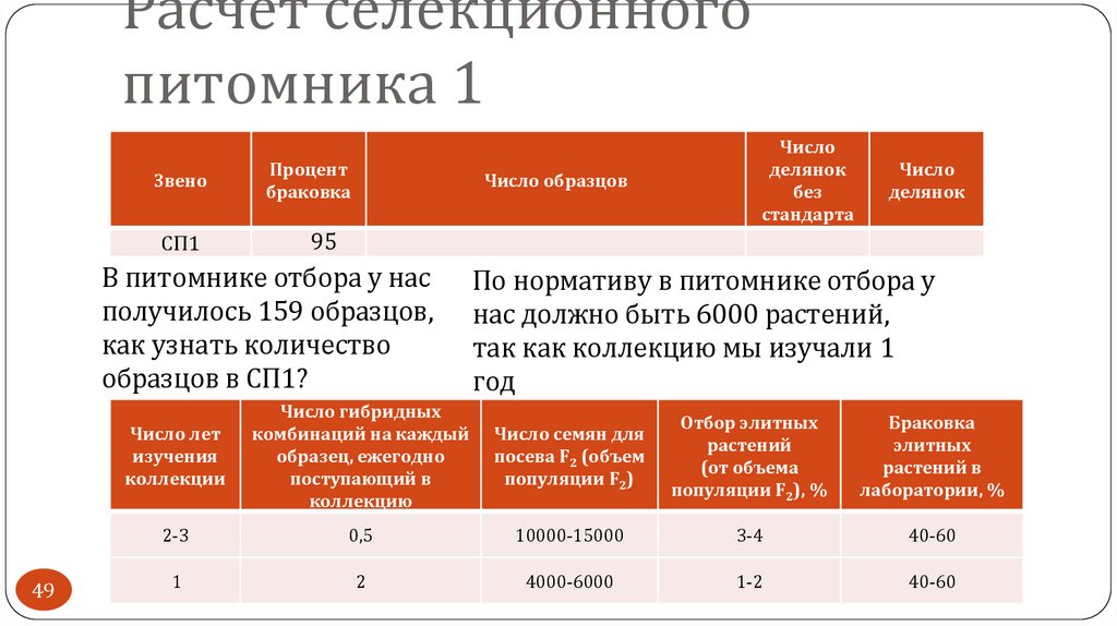 Расчет селекционного питомника 1