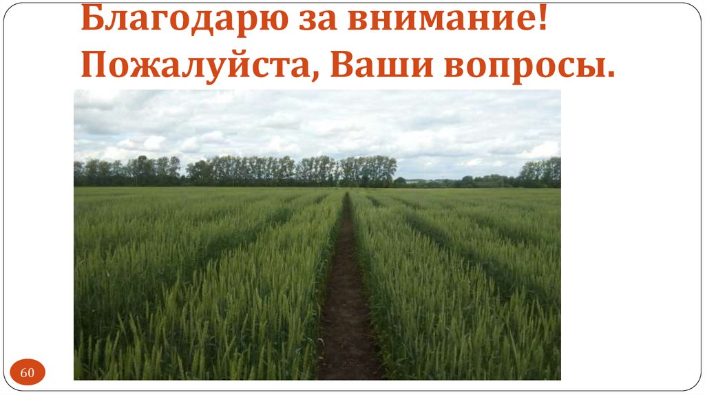 Благодарю за внимание! Пожалуйста, Ваши вопросы.