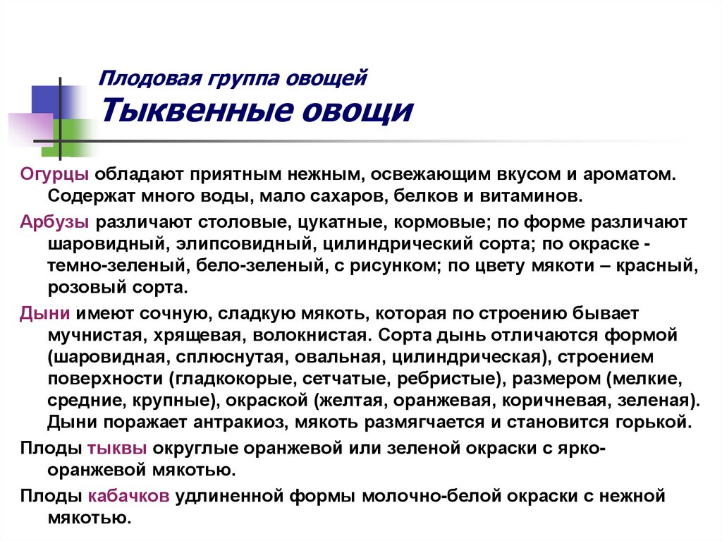 Плодовая группа овощей Тыквенные овощи