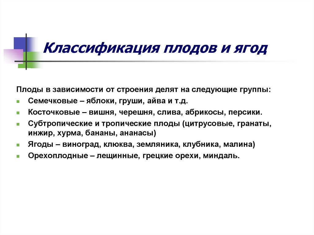 Классификация плодов и ягод