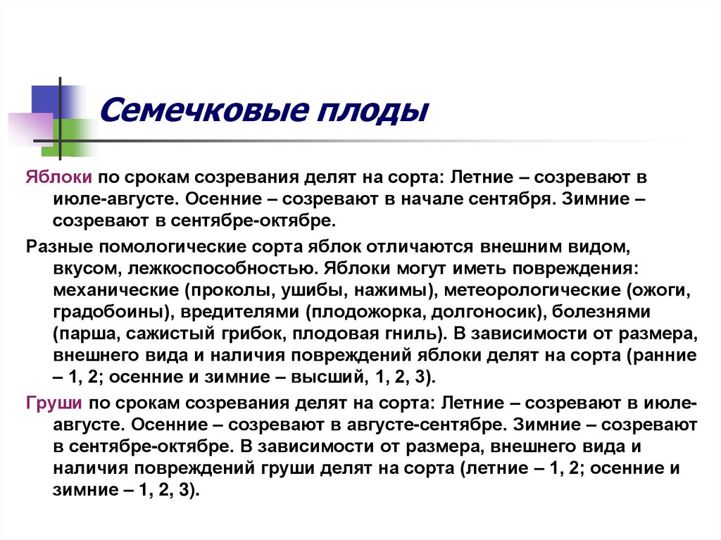 Семечковые плоды