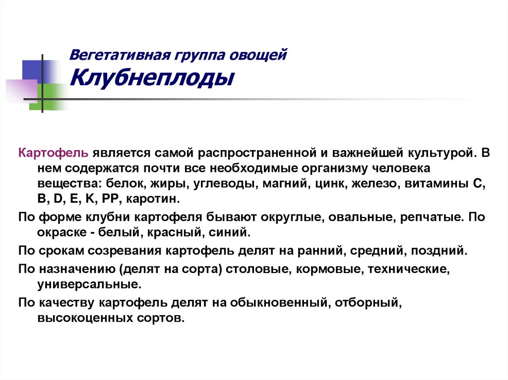 Вегетативная группа овощей Клубнеплоды