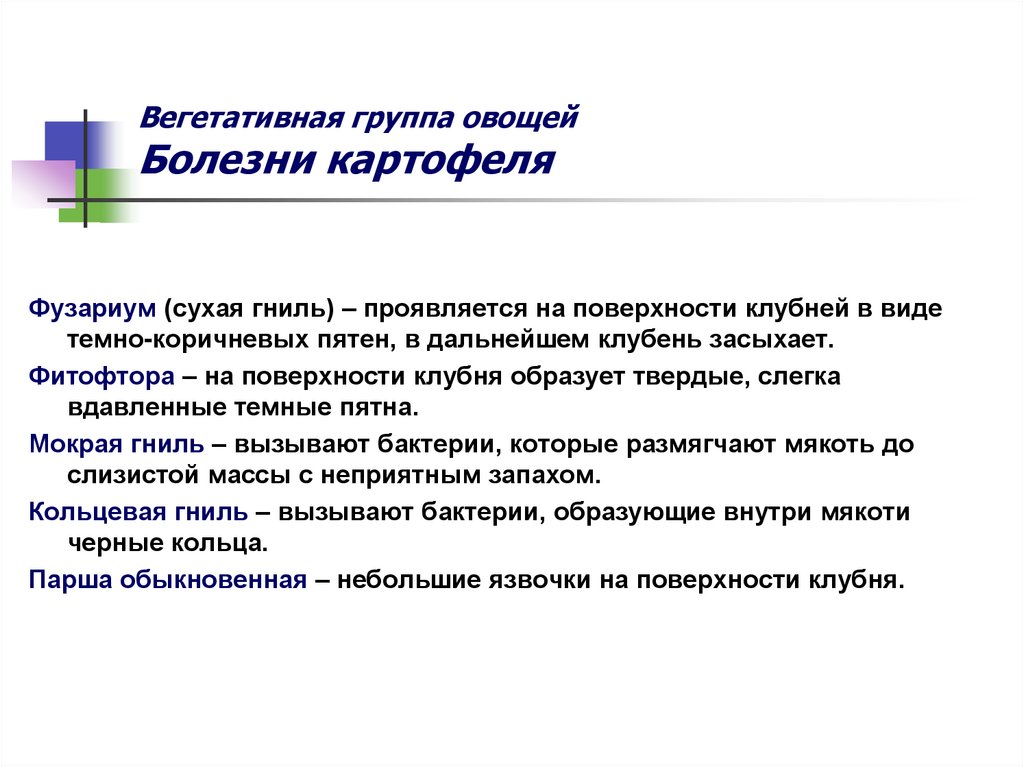 Вегетативная группа овощей Болезни картофеля