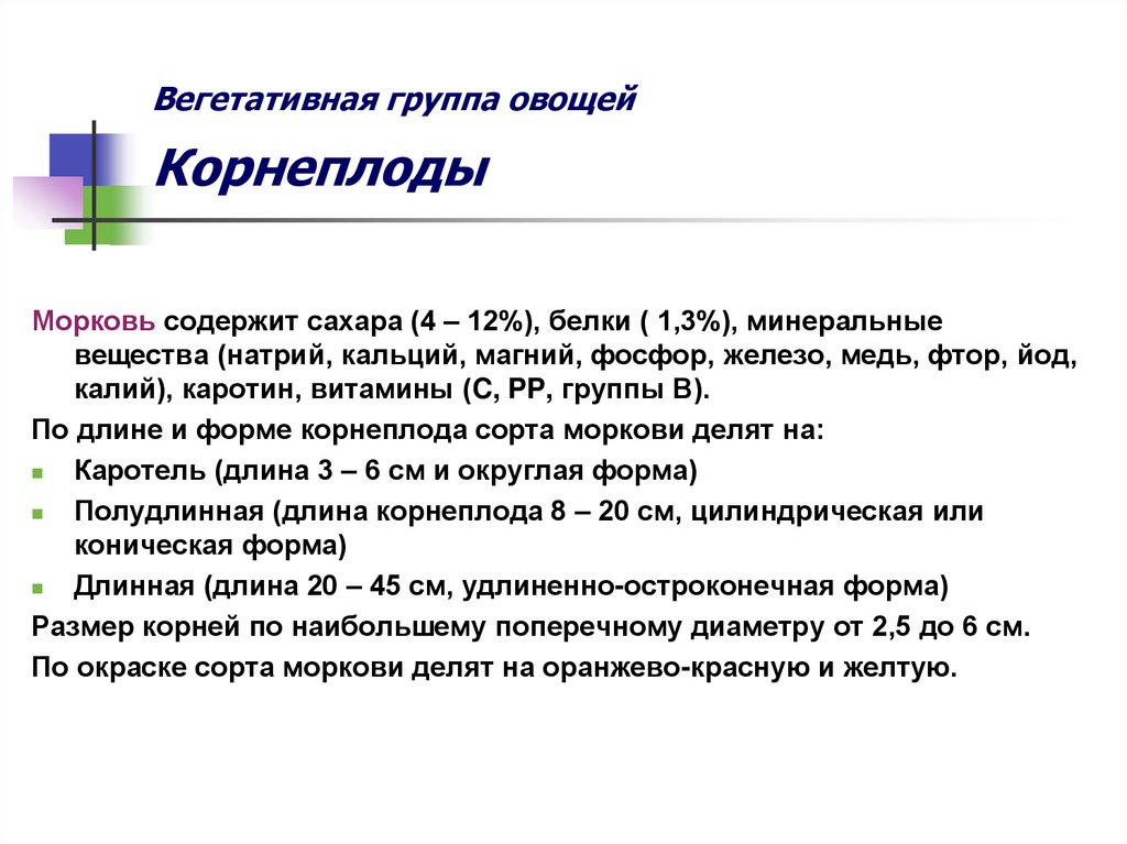 Вегетативная группа овощей Корнеплоды
