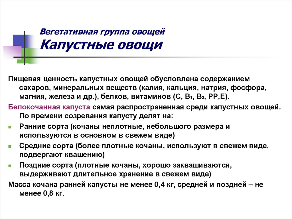 Вегетативная группа овощей Капустные овощи