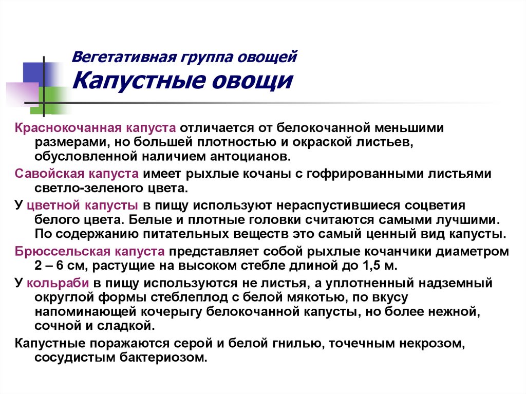 Вегетативная группа овощей Капустные овощи