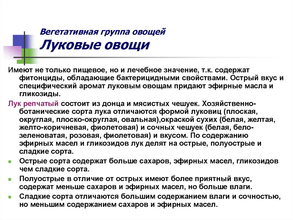 Вегетативная группа овощей Луковые овощи