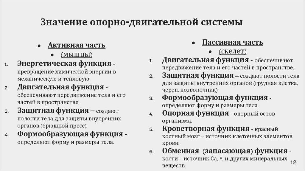 Значение опорно-двигательной системы