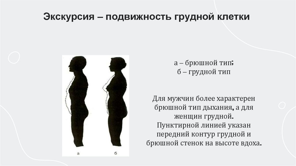 а – брюшной тип; б – грудной тип Для мужчин более характерен брюшной тип дыхания, а для женщин грудной. Пунктирной линией