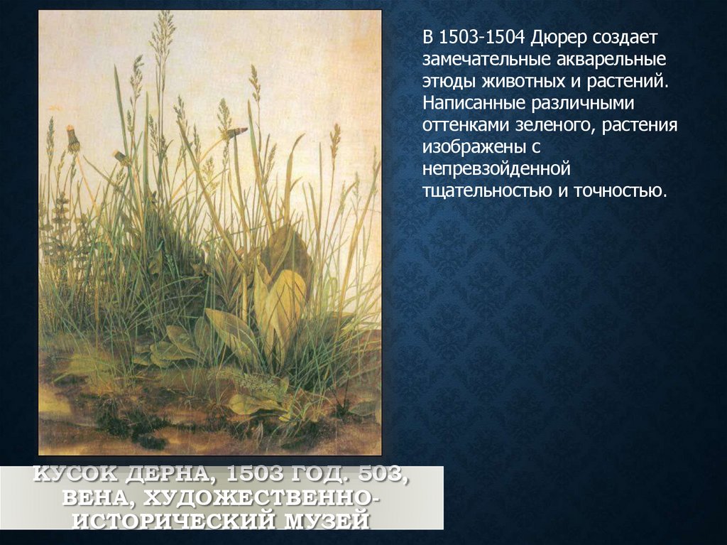 Кусок дерна, 1503 год. 503, Вена, Художественно-исторический музей