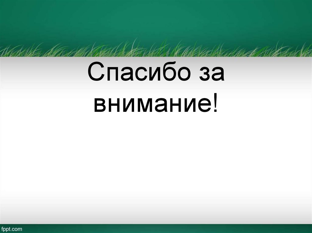 Спасибо за внимание!
