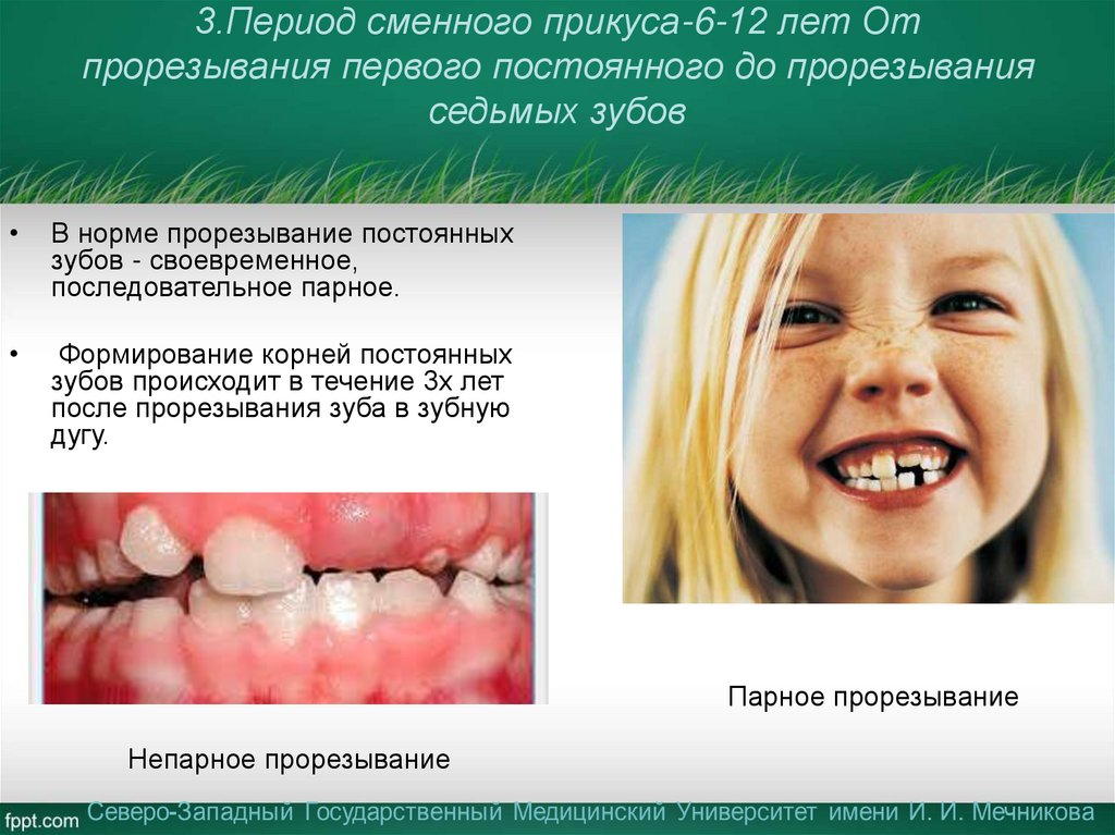 3.Период сменного прикуса-6-12 лет От прорезывания первого постоянного до прорезывания седьмых зубов