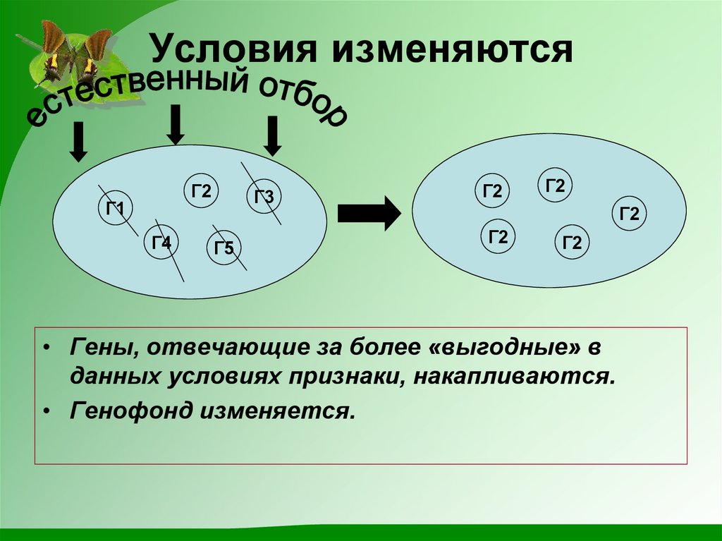 Условия изменяются