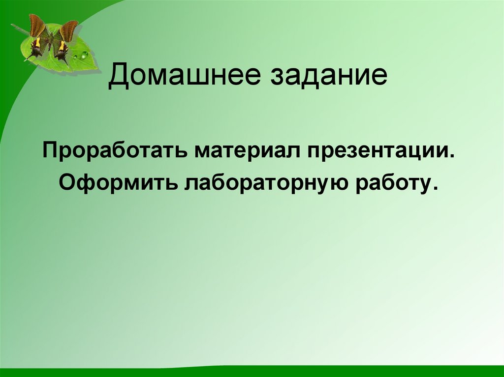 Домашнее задание