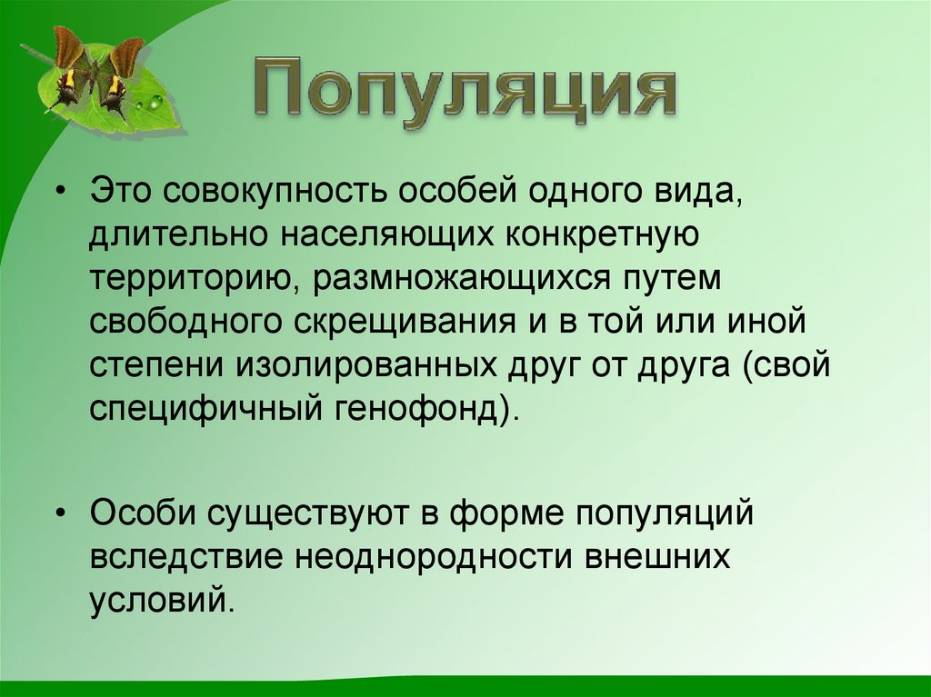 Популяция