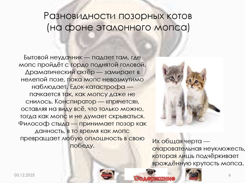 Бытовой неудачник — падает там, где мопс пройдёт с гордо поднятой головой. Драматический актёр — замирает в нелепой позе, пока