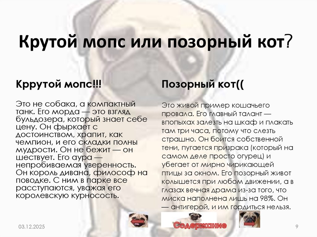 Крутой мопс или позорный кот?