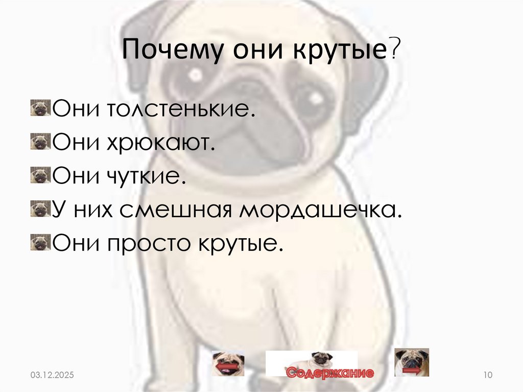 Почему они крутые?