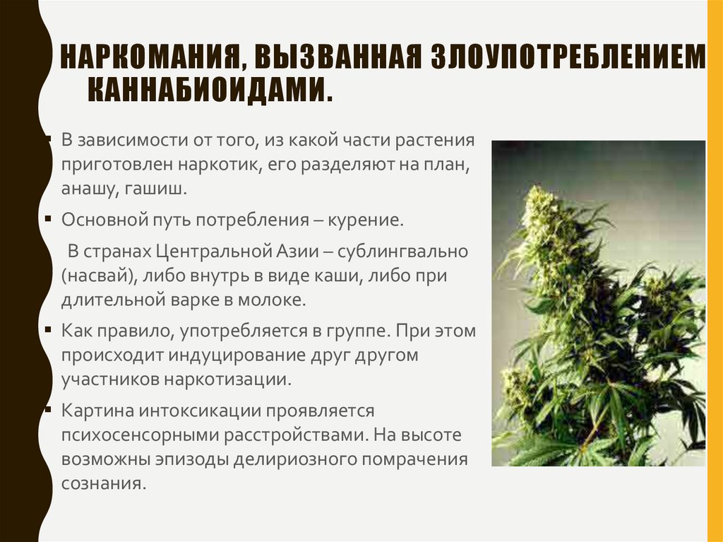 Наркомания, вызванная злоупотреблением каннабиоидами.