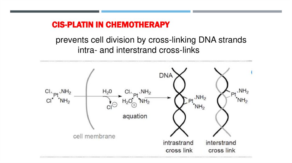 Cis-platin in Chemotherapy