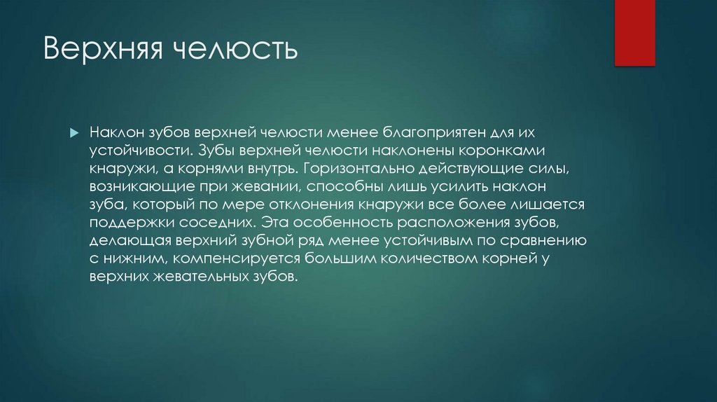 Верхняя челюсть