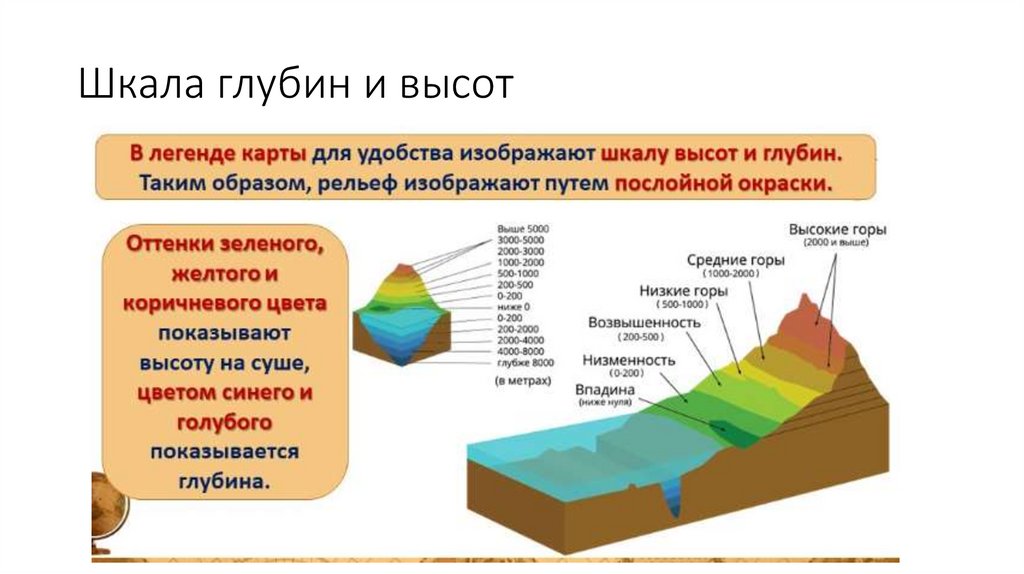 Шкала глубин и высот