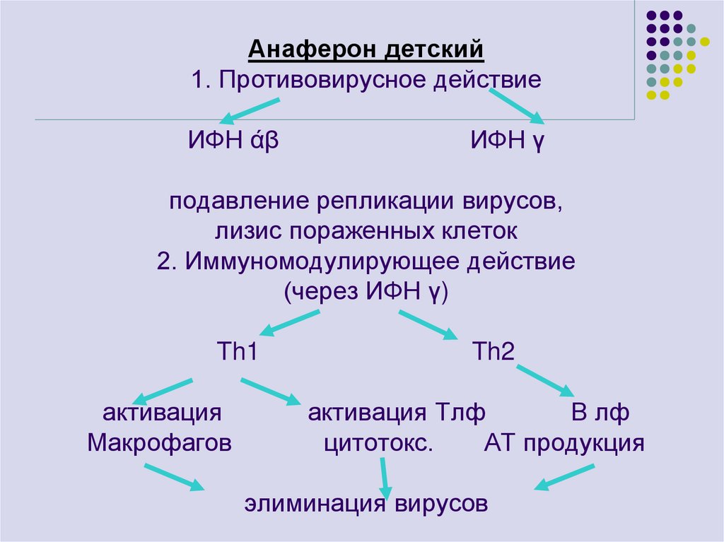 Анаферон детский 1. Противовирусное действие ИФН άβ ИФН γ подавление репликации вирусов, лизис пораженных клеток 2.