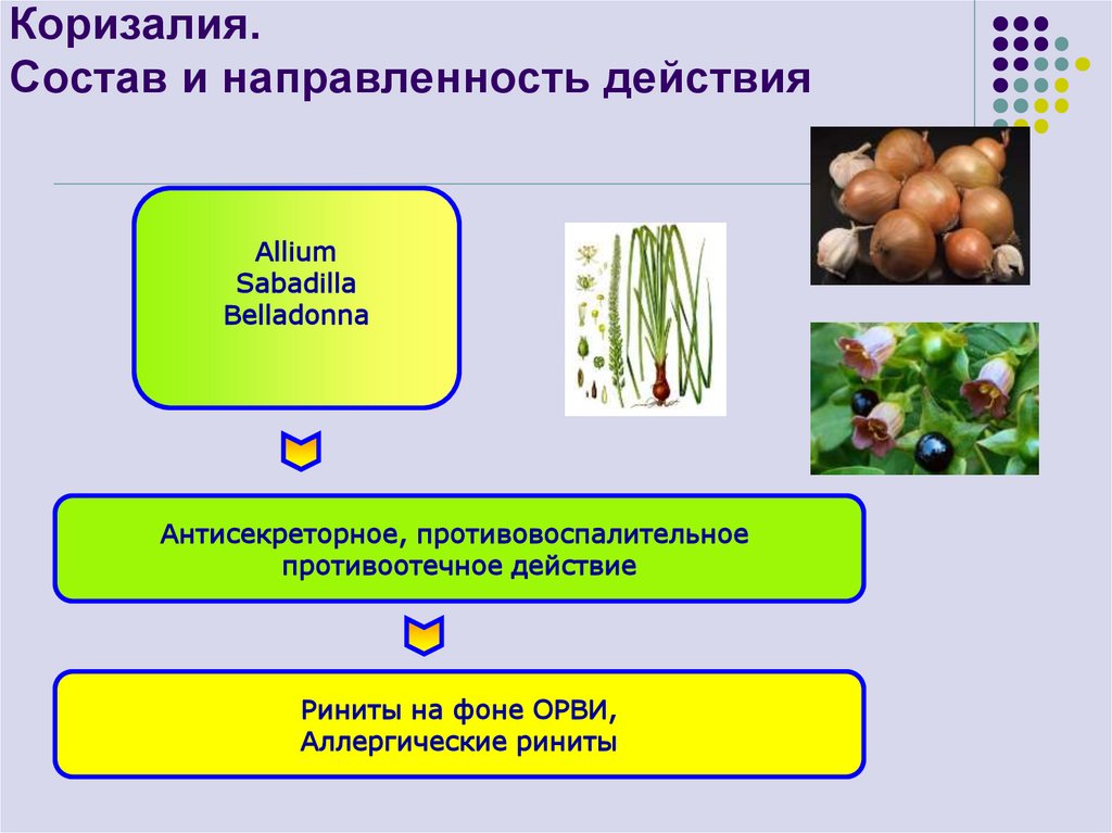 Коризалия. Состав и направленность действия
