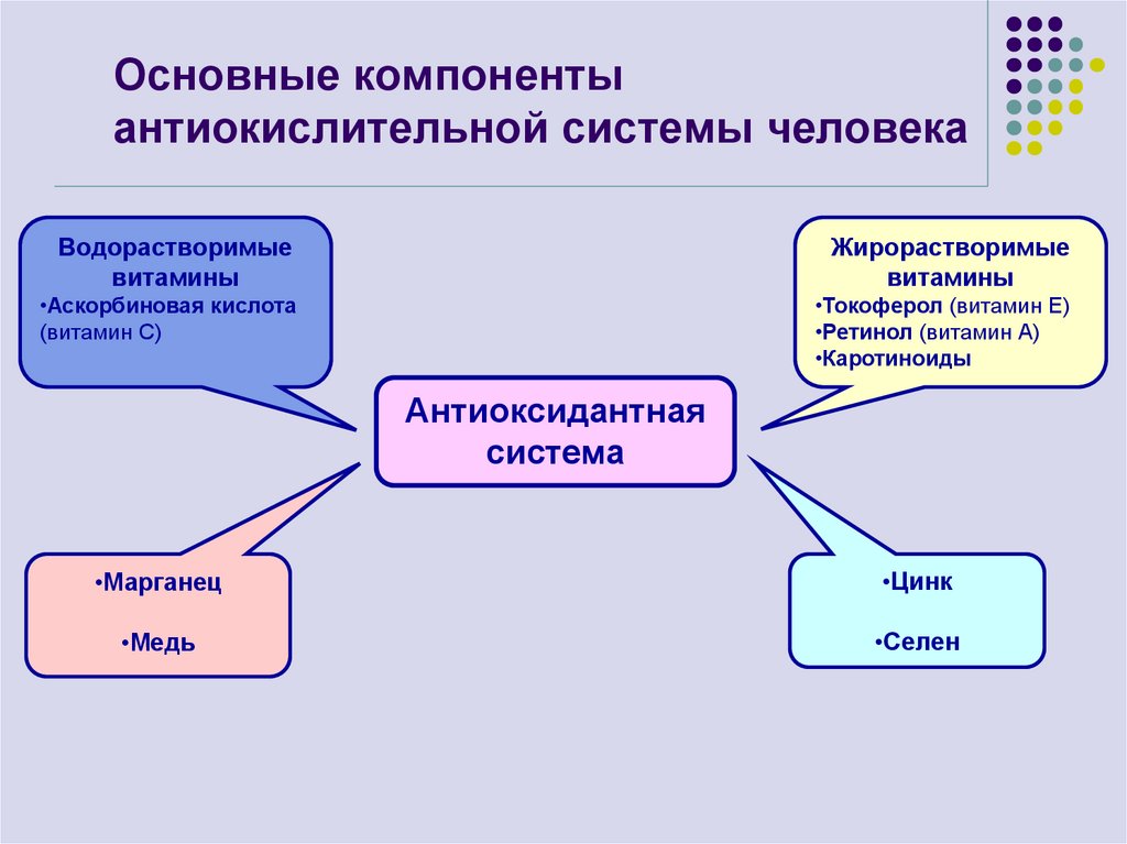 Основные компоненты антиокислительной системы человека