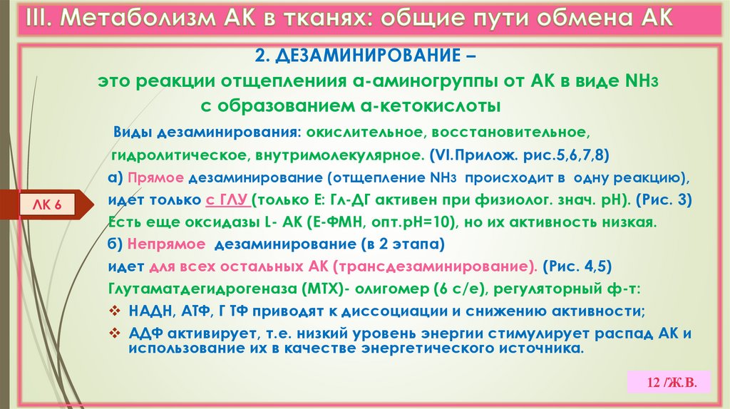 III. Метаболизм АК в тканях: общие пути обмена АК