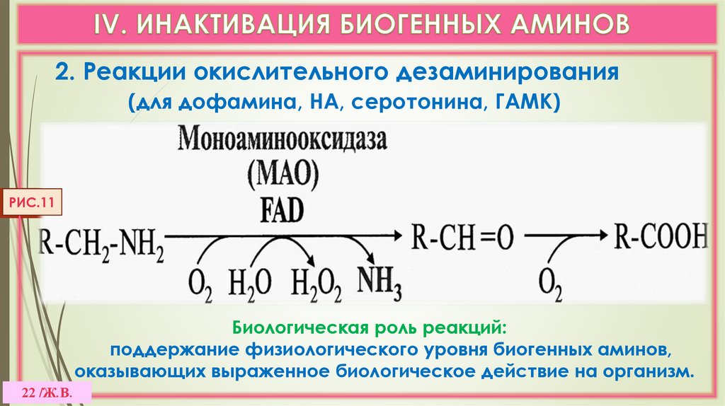 IV. ИНАКТИВАЦИЯ БИОГЕННЫХ АМИНОВ