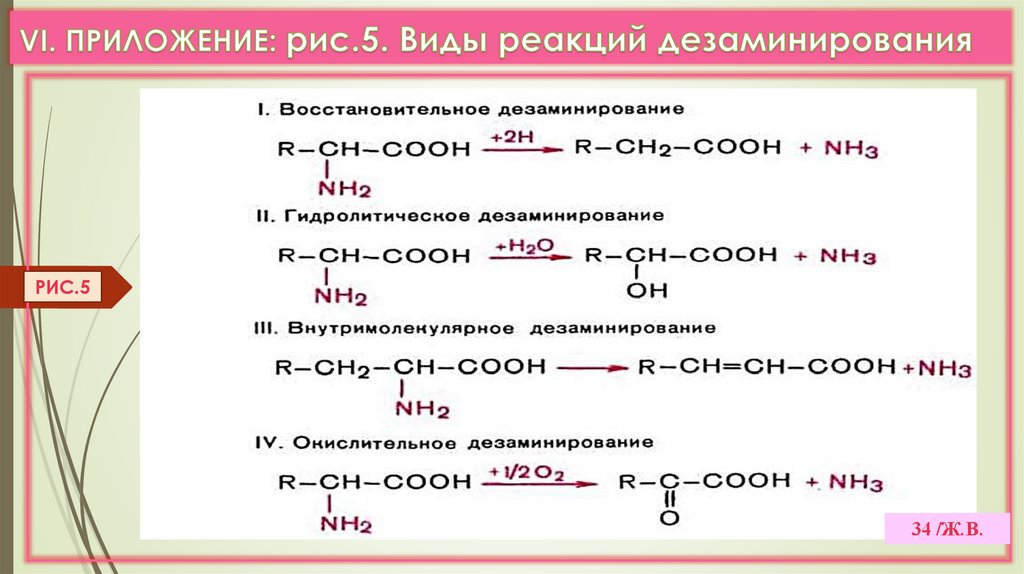 VI. ПРИЛОЖЕНИЕ: рис.5. Виды реакций дезаминирования