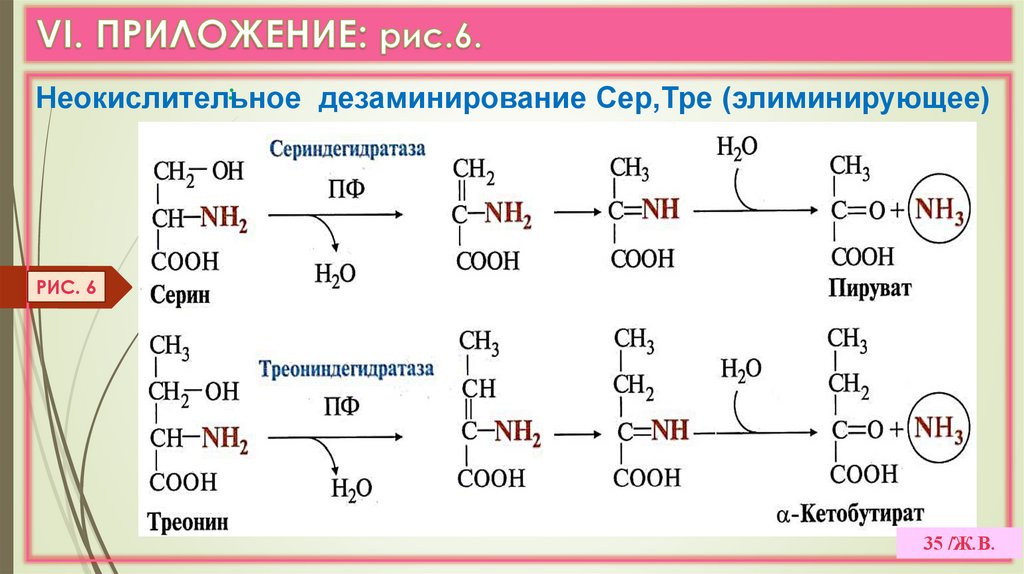 VI. ПРИЛОЖЕНИЕ: рис.6.