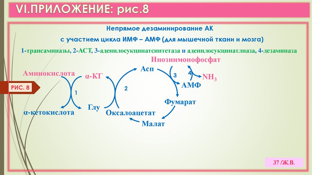 VI.ПРИЛОЖЕНИЕ: рис.8
