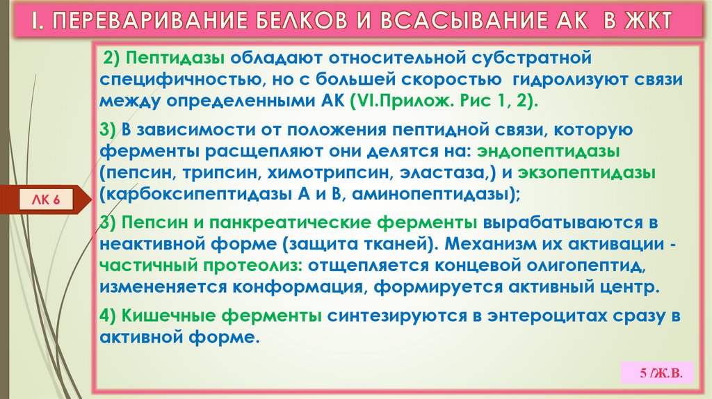 I. ПЕРЕВАРИВАНИЕ БЕЛКОВ И ВСАСЫВАНИЕ АК В ЖКТ