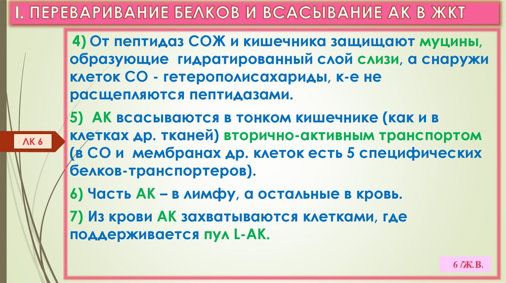 I. ПЕРЕВАРИВАНИЕ БЕЛКОВ И ВСАСЫВАНИЕ АК В ЖКТ