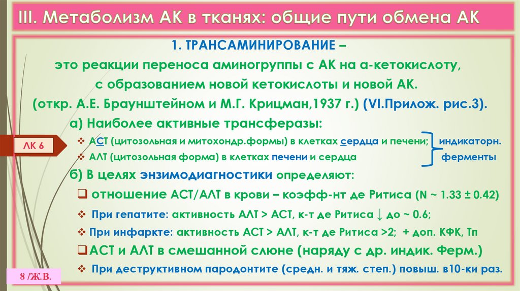III. Метаболизм АК в тканях: общие пути обмена АК