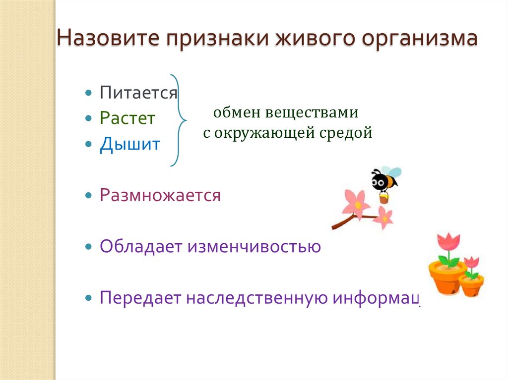 Назовите признаки живого организма