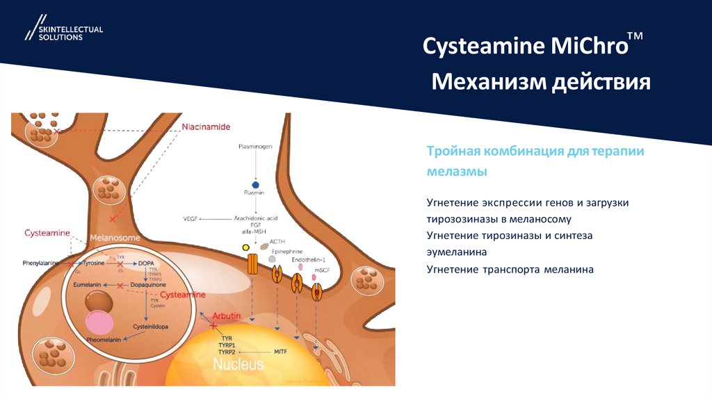 Cysteamine MiChro Механизм действия